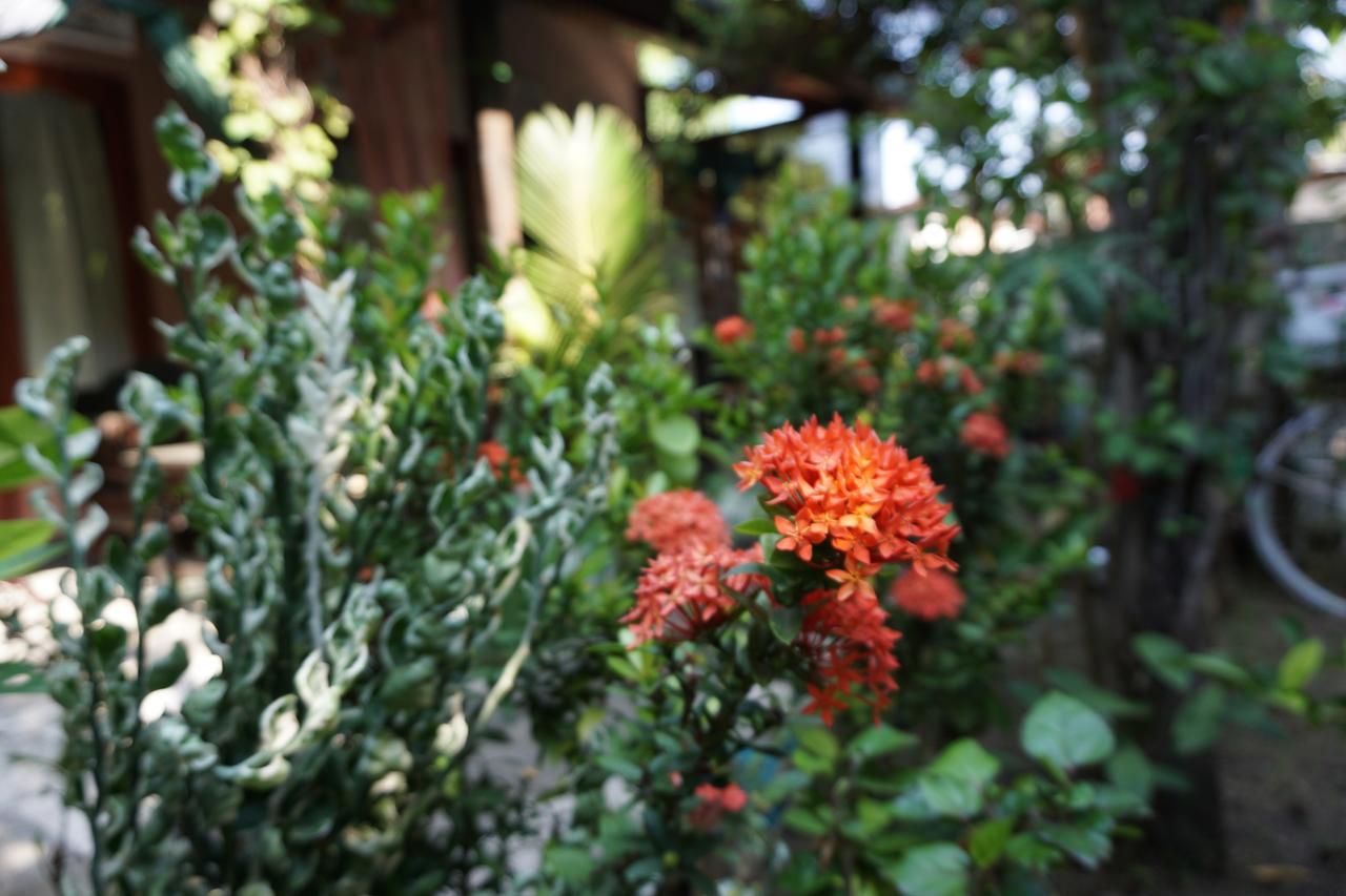 Bed and Breakfast Salon De Nomad Gili T. Gili Trawangan Zewnętrze zdjęcie